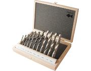 Holzspibo.Stz.HSS Profi 11-tlg. 4-16mm R Fisch